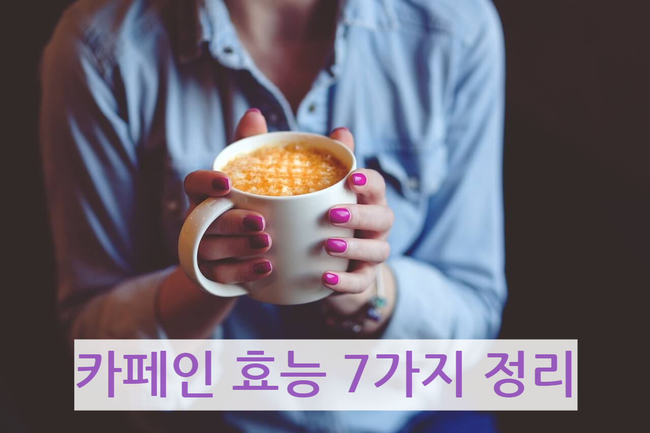 카페인 효능 7가지 정리