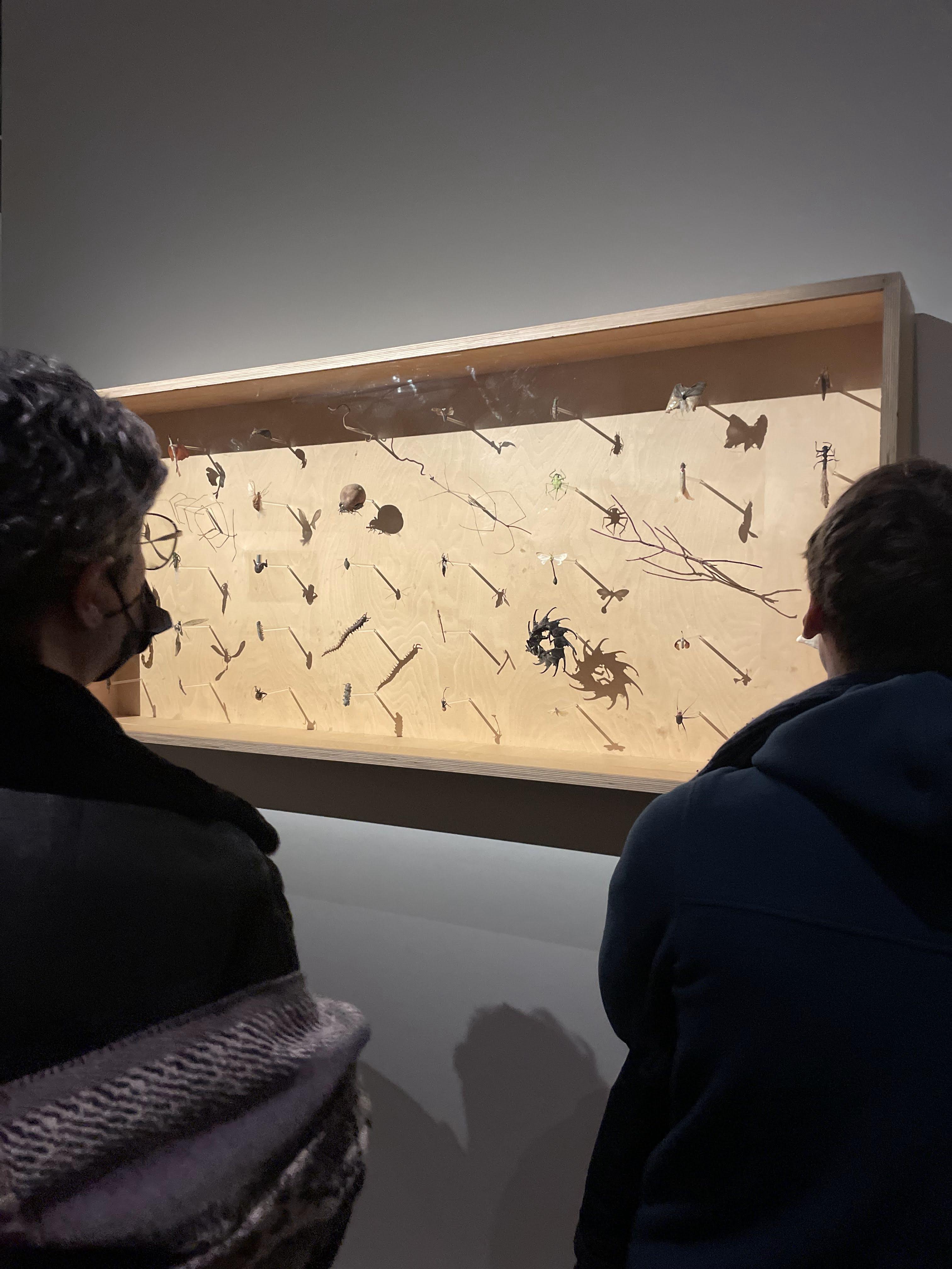 사물들, 루브르박물관 전시회, 23