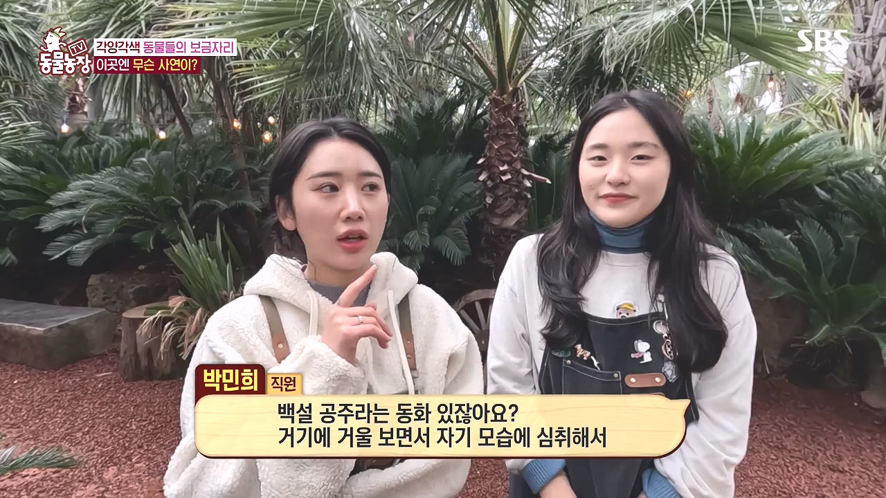 TV 동물농장.E1153.240108p-NEXT.mp4_20240107_173829.003.jpg