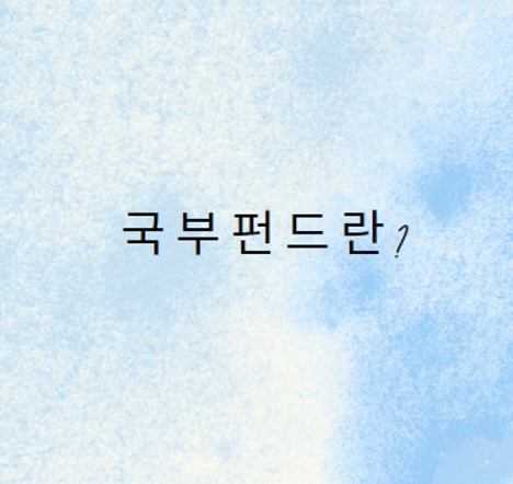  국부펀드란?