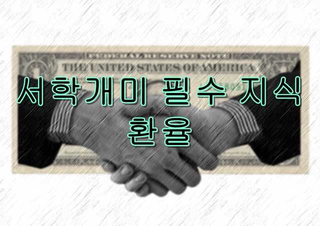  환율의 기초를 파헤져보자!
