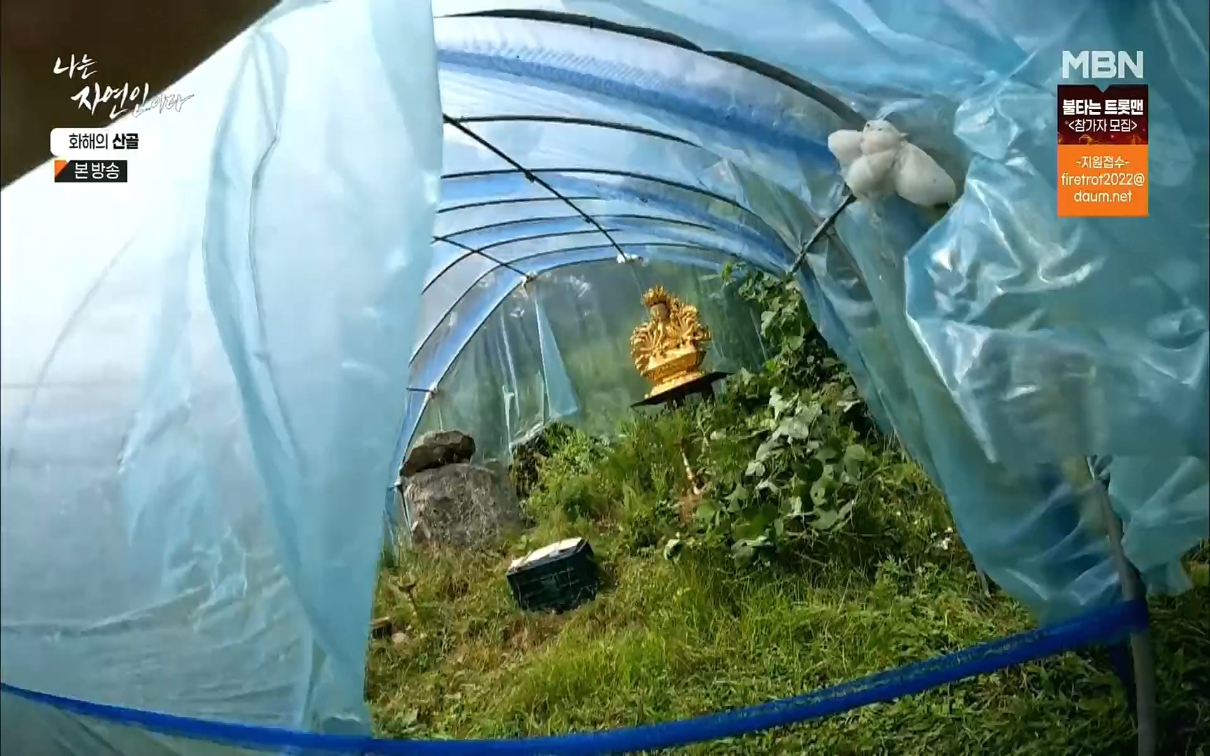 나는 자연인이다.E515.220817p.H264-F1RST.mp4_20220818_201908.874.jpg