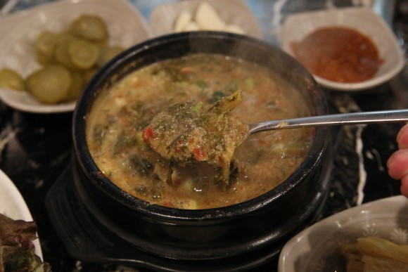 논현 신선했던 맛집 21