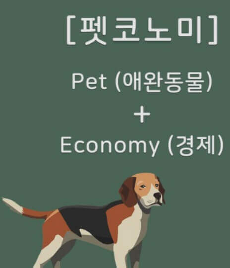  반려 동물 관련 산업과 '개 물림 사고'의 법적 책임 알아보기