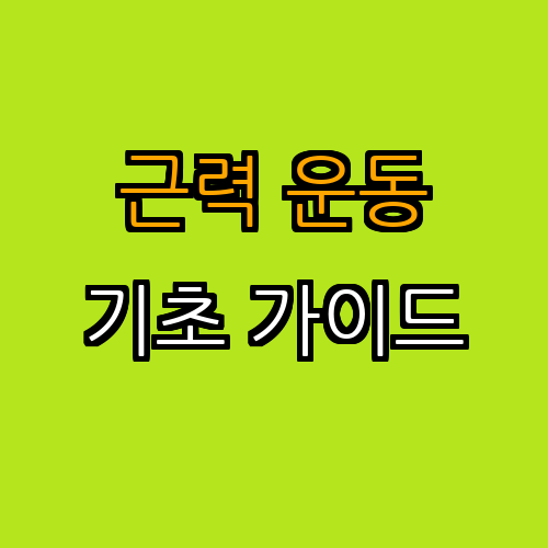 근력 운동 기초 가이드: 안전하게 시작하는 방법과 효과적인 운동법