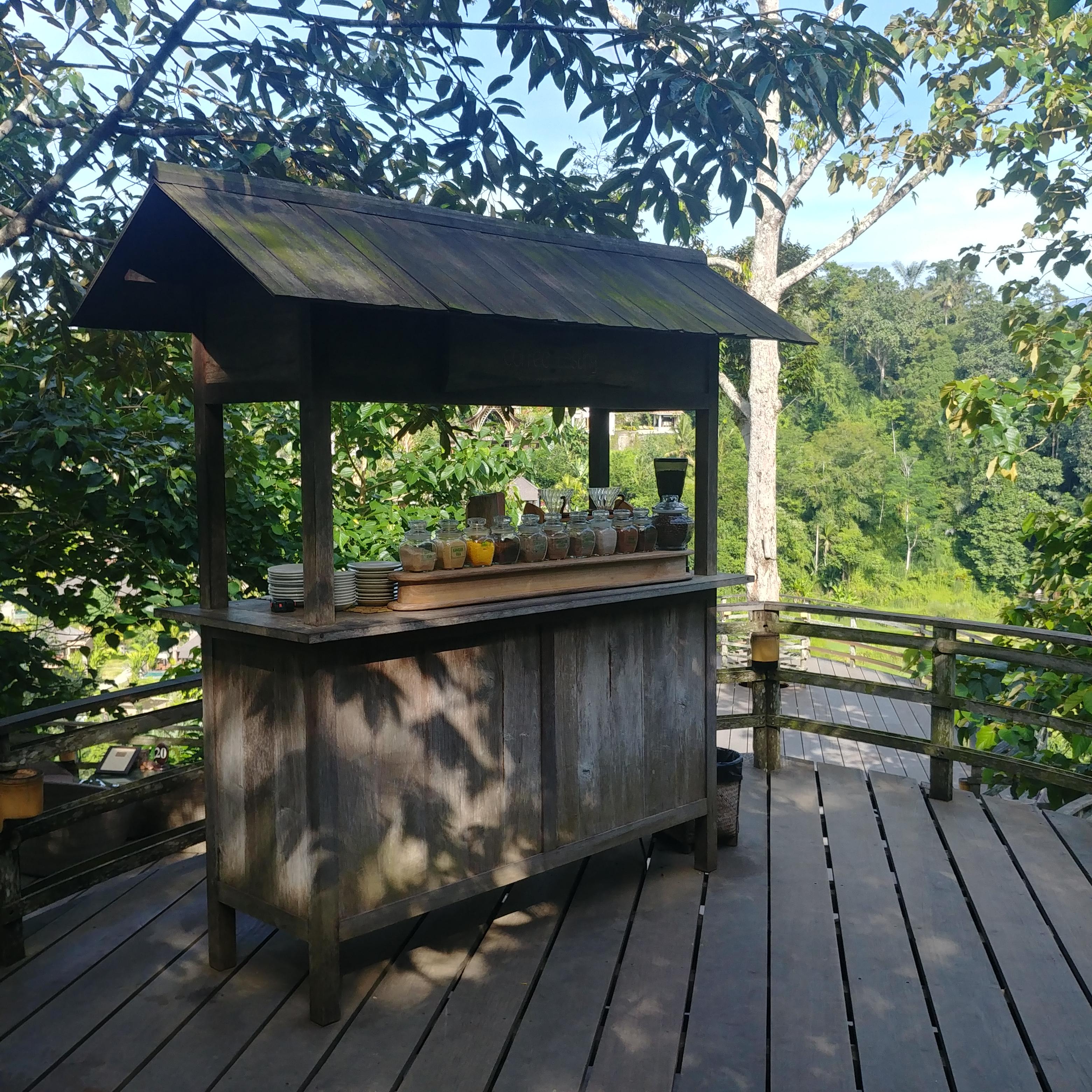  발리 커피 즐기리 좋은 곳 Bali Pulina Coffee Plantation