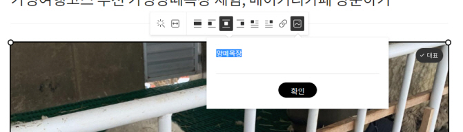 티스토리 이미지태그