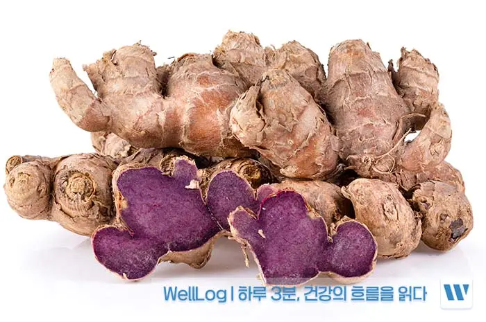 파비플로라 효능