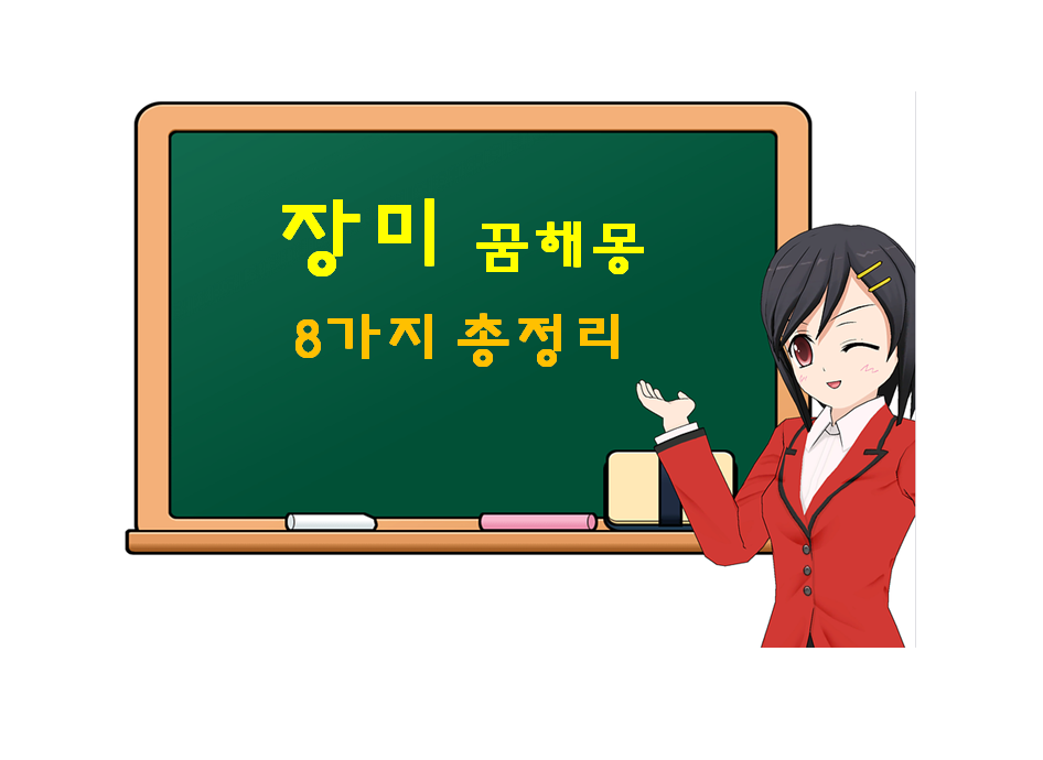 장미 꿈해몽 8가지 총정리