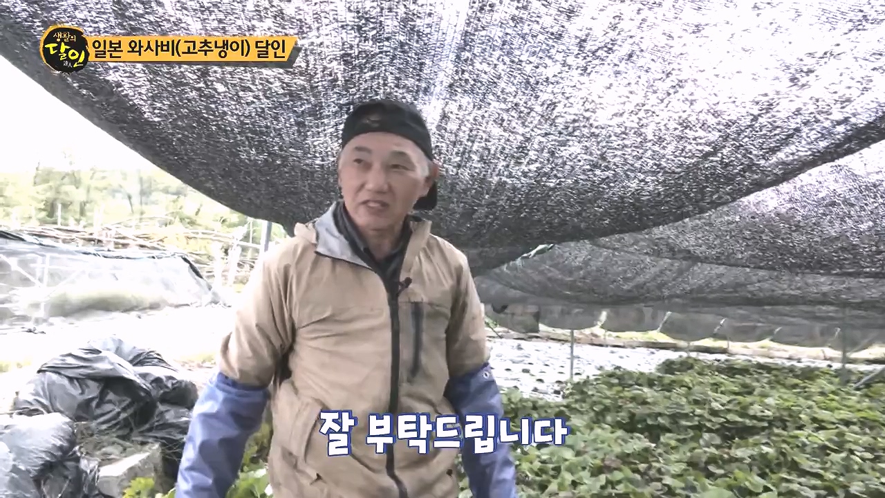 생활의 달인.E908.231017p-NEXT.mp4_20231017_200053.548.jpg