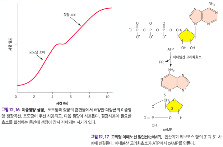 article thumbnail image