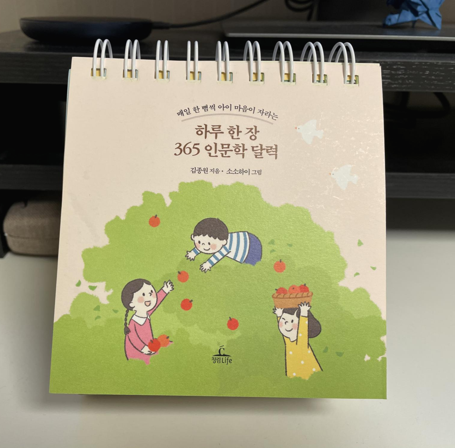  2021년 달력 - 한 장씩 넘기는 365 인문학 달력 (반성 달력)