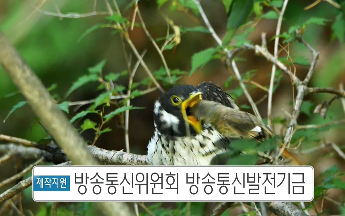 생존 3부_ EBS 다큐프라임_ 220629.avi_20220701_210632.602.jpg