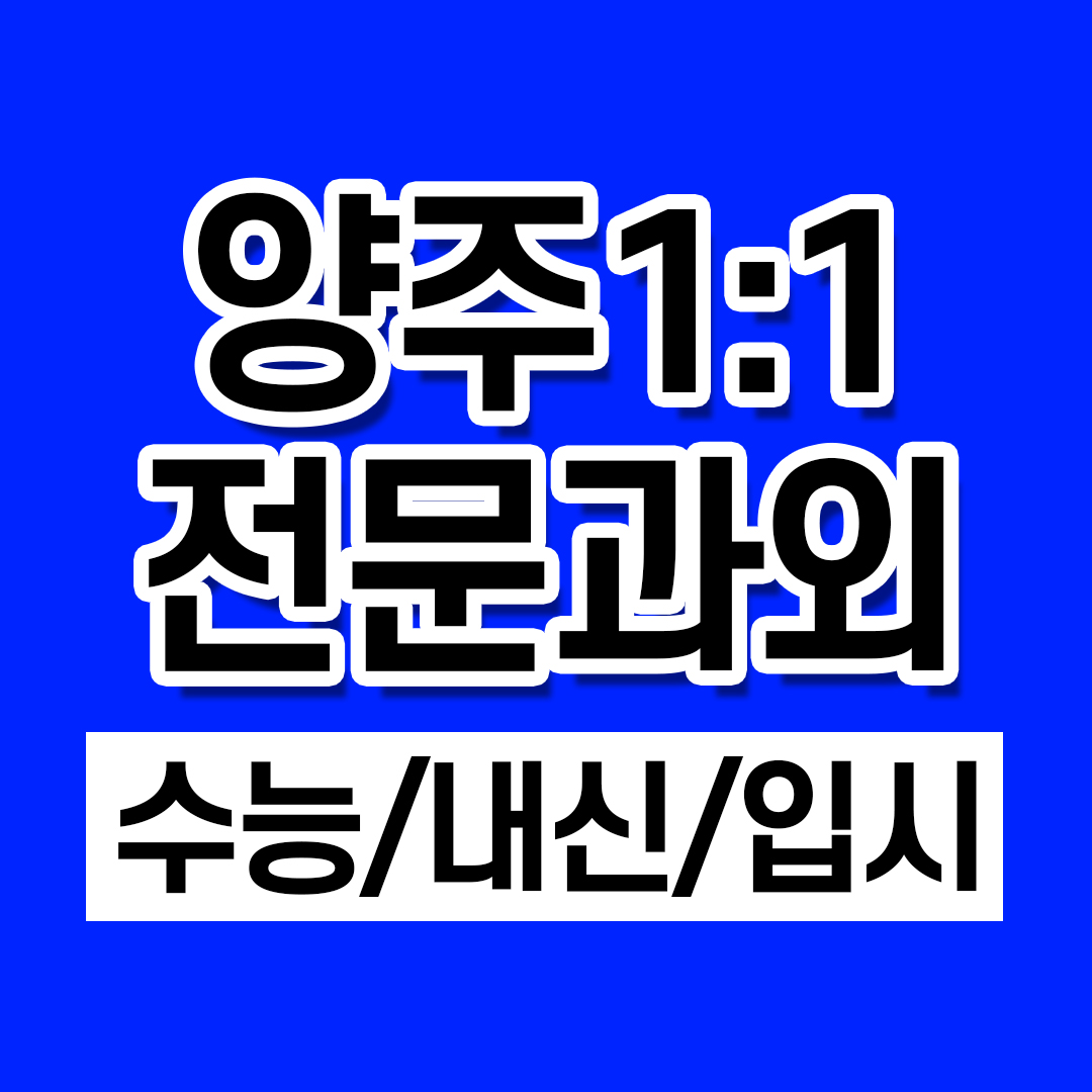  양주 신도시 고등과외 영어 수학 옥정동 중학생 국어 초등과외 일대일 전문 개인
