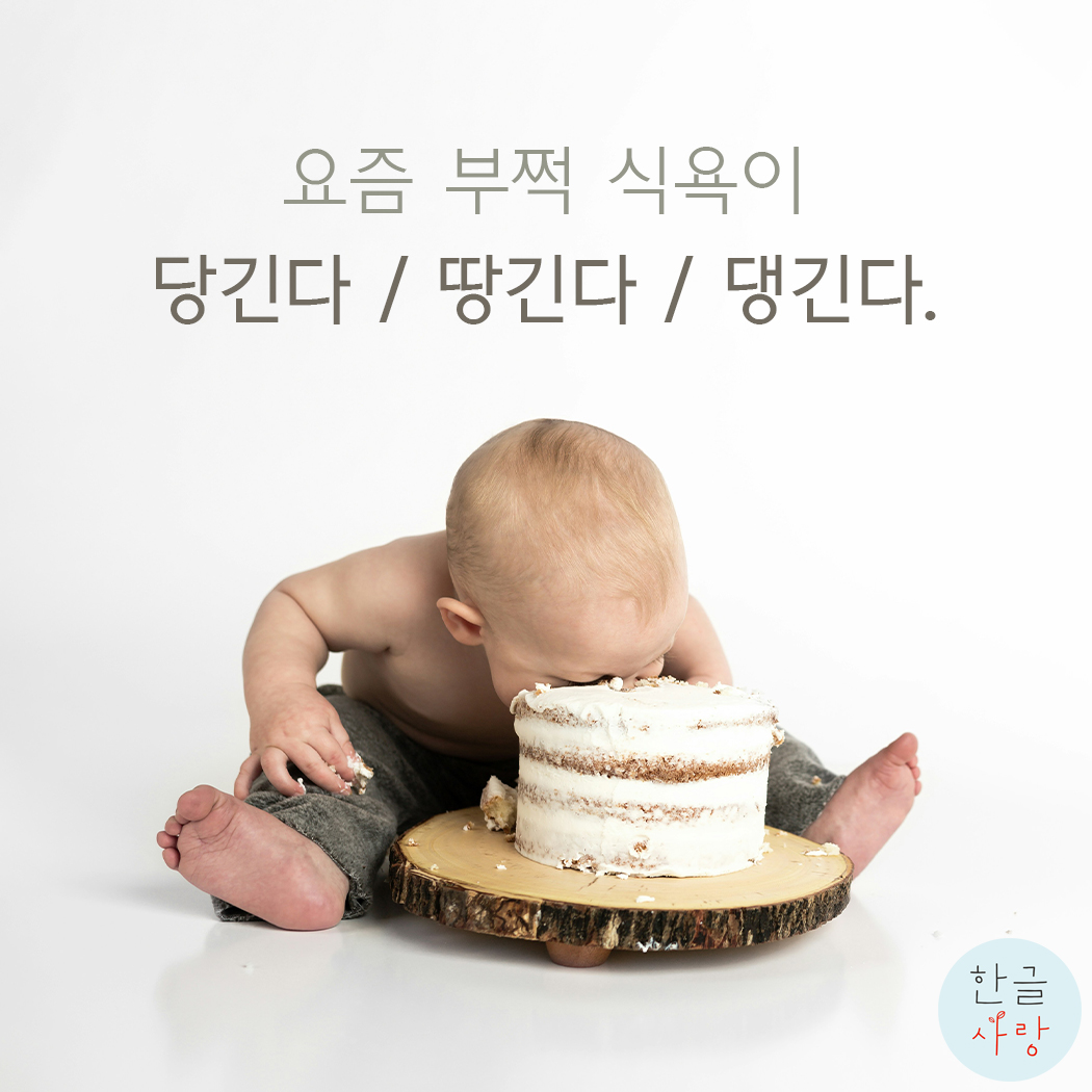  당기다, 댕기다, 땅기다의 의미를 알아봅니다.