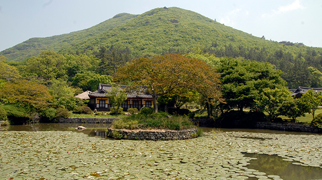 전남 진도 운림산방 풍경1