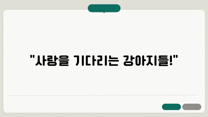 위생 관리