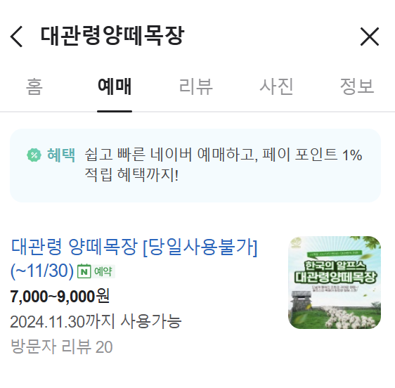 평창 가볼만한곳