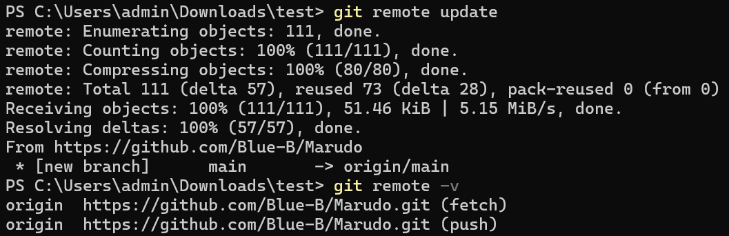 git remote update 후 gir mote -v 명령어를 입력한 이미지
