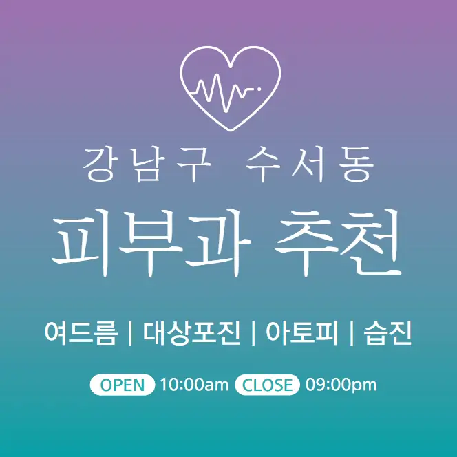  강남구 수서동 피부과 추천 병원 후기 | 피부관리 전문 의원 3곳