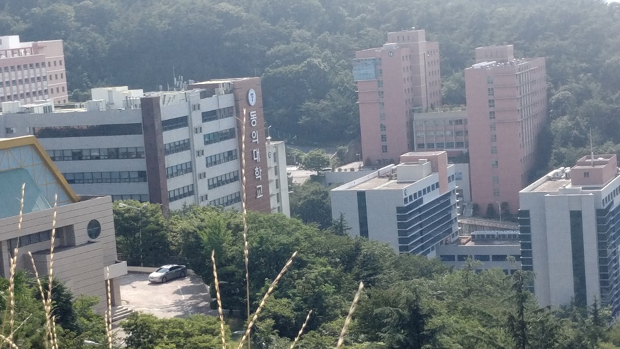 동의대