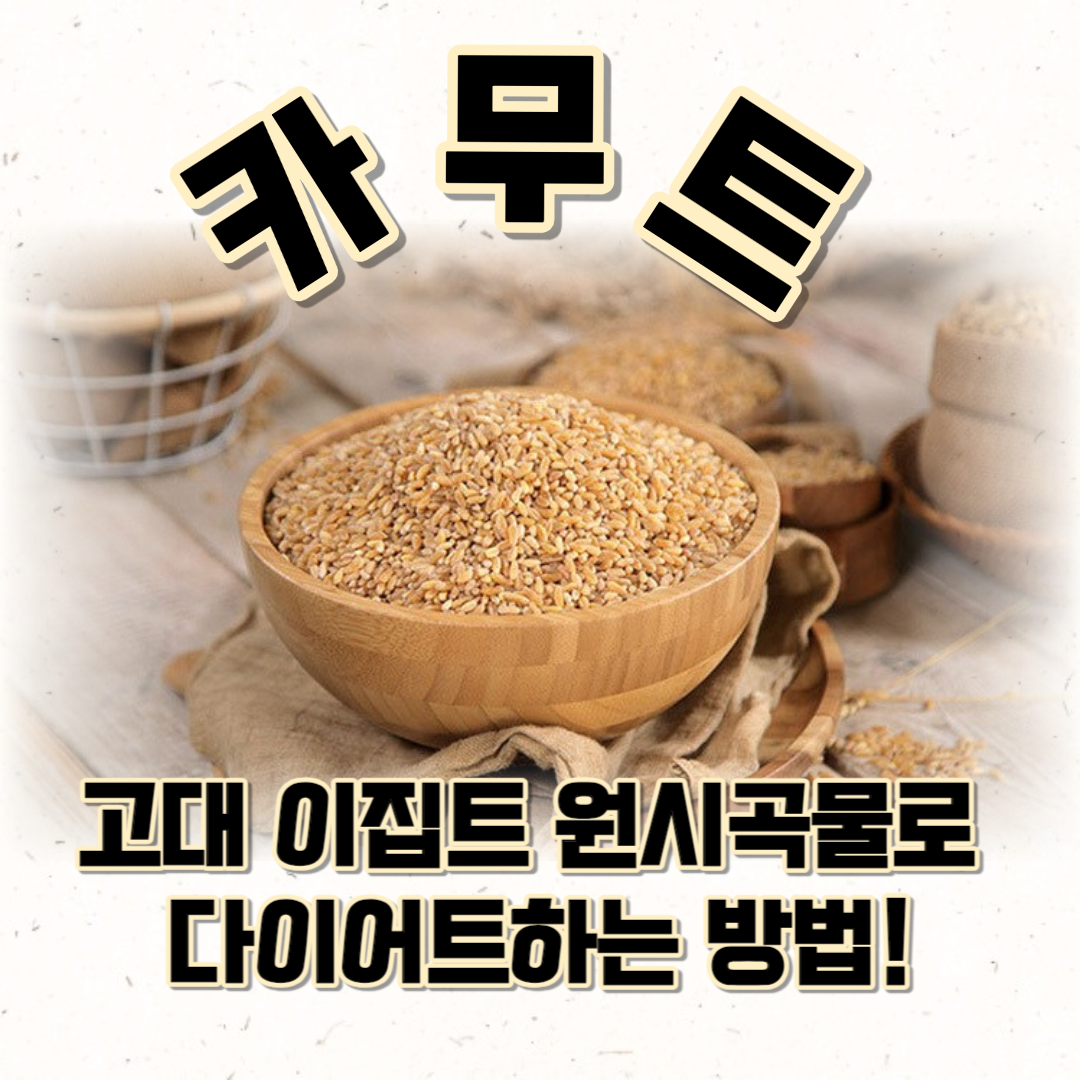 카무트 고대 이집트 원시곡물로 다이어트하는 방법! (효능과 부작용?!)