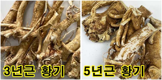 5년근 황기
