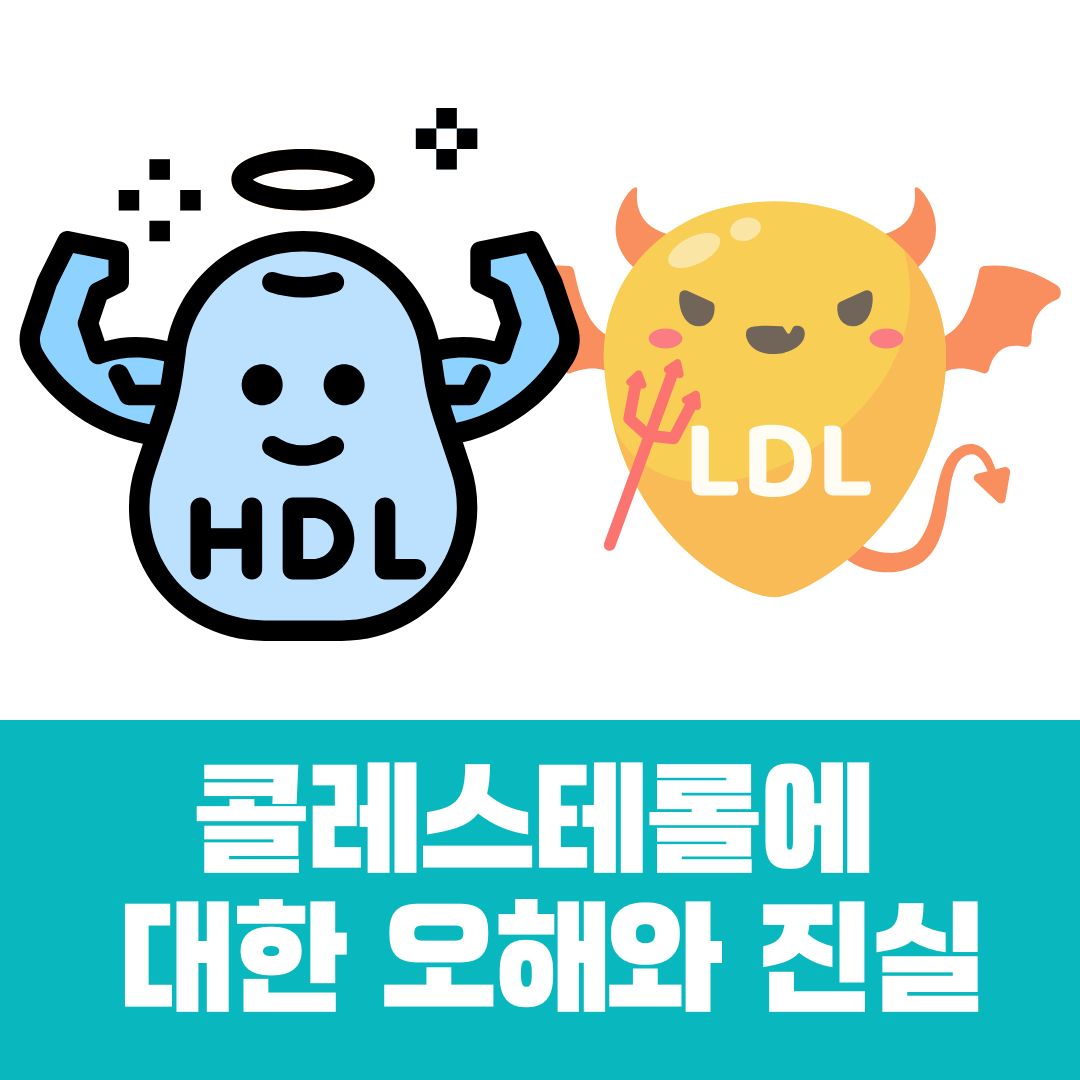 콜레스테롤