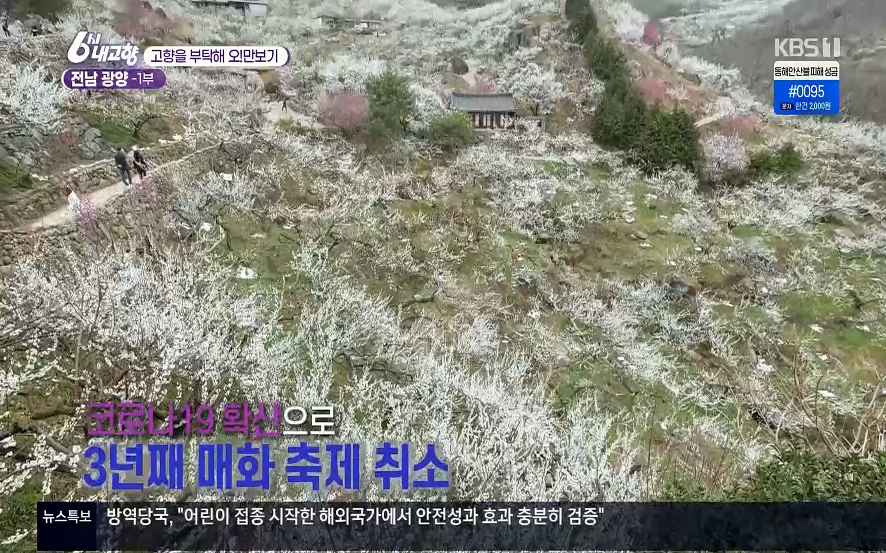 6시 내고향.E7494.220322p.H264-F1RST.mp4_20220326_182132.542.jpg