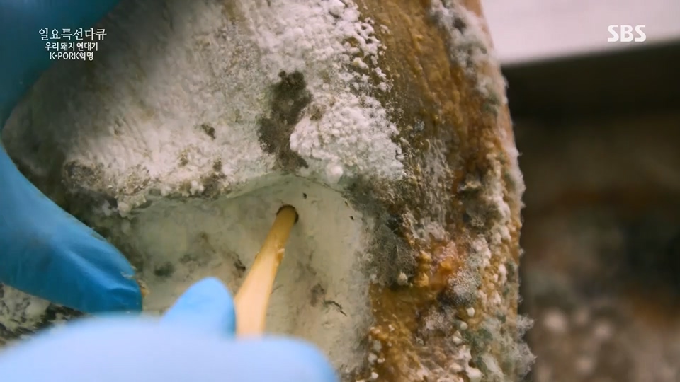 일요 특선 다큐멘터리.E315.230716p.H264-F1RST.mp4_20230717_210615.330.jpg