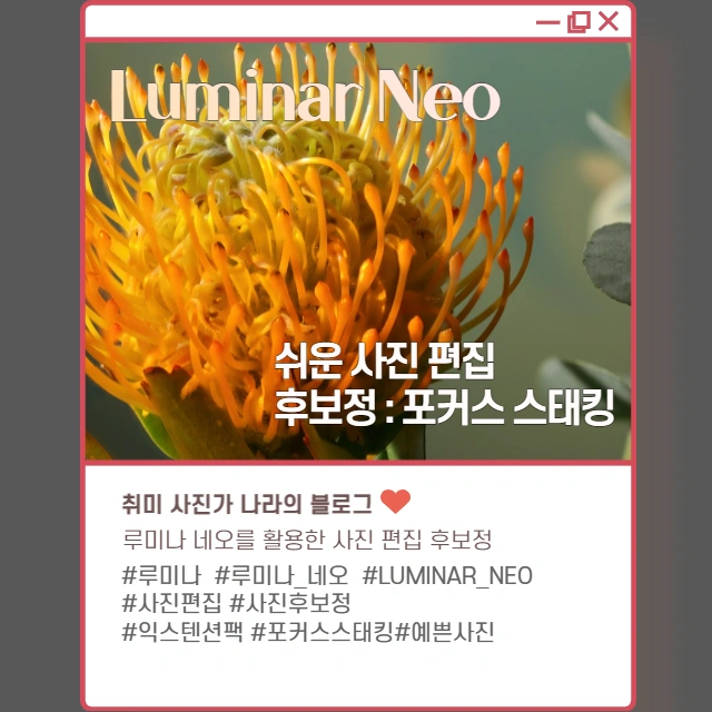  Luminar Neo 쉬운 사진 편집 후보정 #6 : 포커스 스태킹