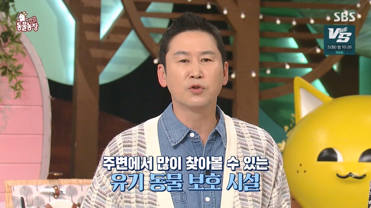 TV 동물농장.E1147.231127p-NEXT.mp4_20231126_170403.078.jpg