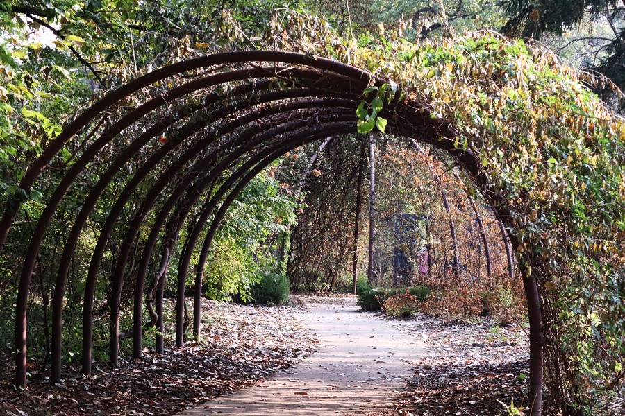 국립수목원-덩굴식물원의-가을모습