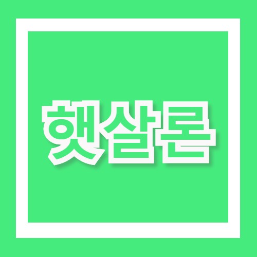  서민전용 대출상품 햇살론이란? 보증재원,대출대상, 자금지원종류, 금리를 알아보자!
