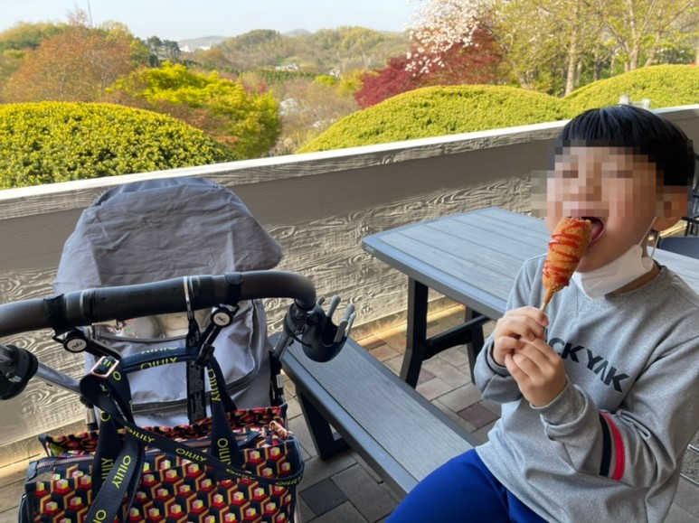 세종 가볼만한곳세종 가볼만한곳베어트리파크 12