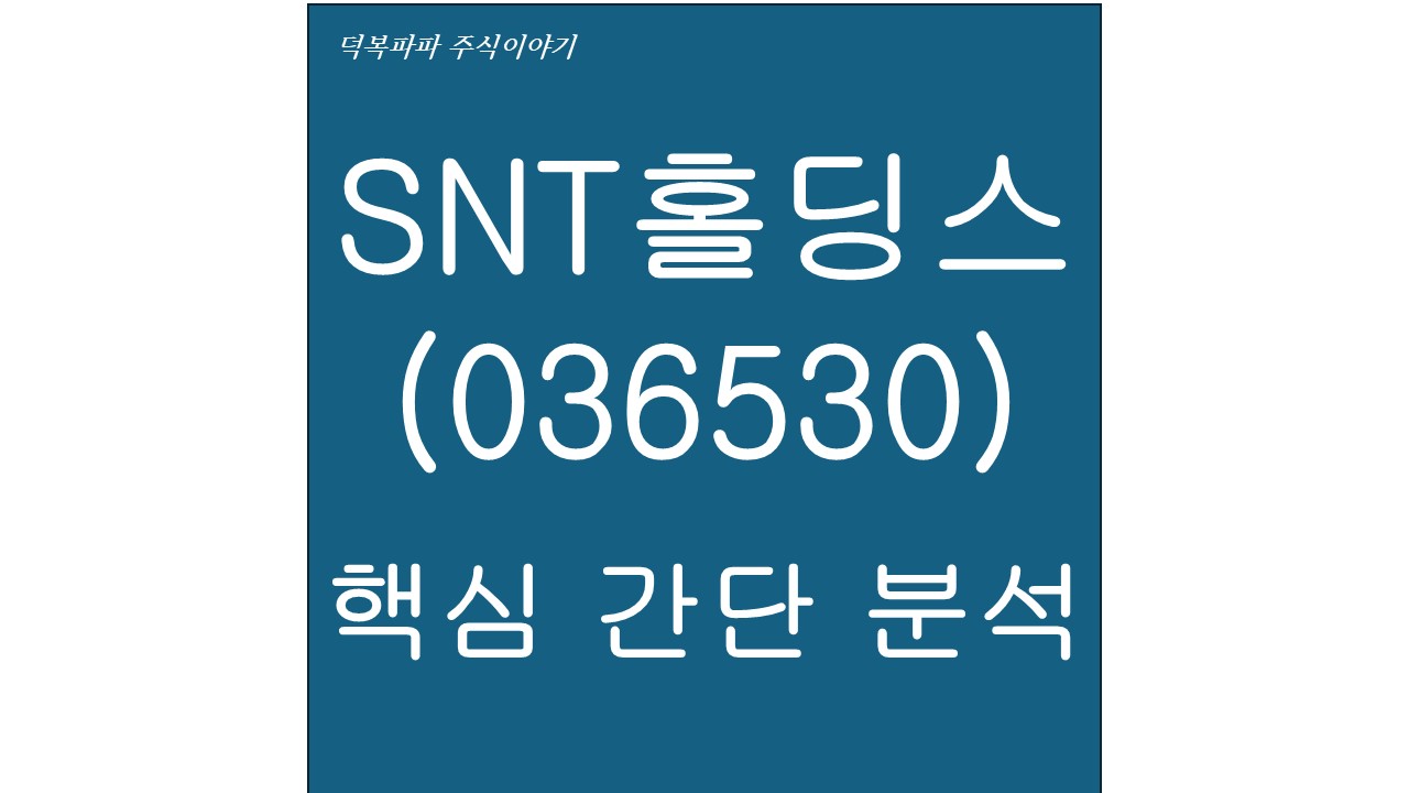 SNT홀딩스(036530) 핵심 간단 분석