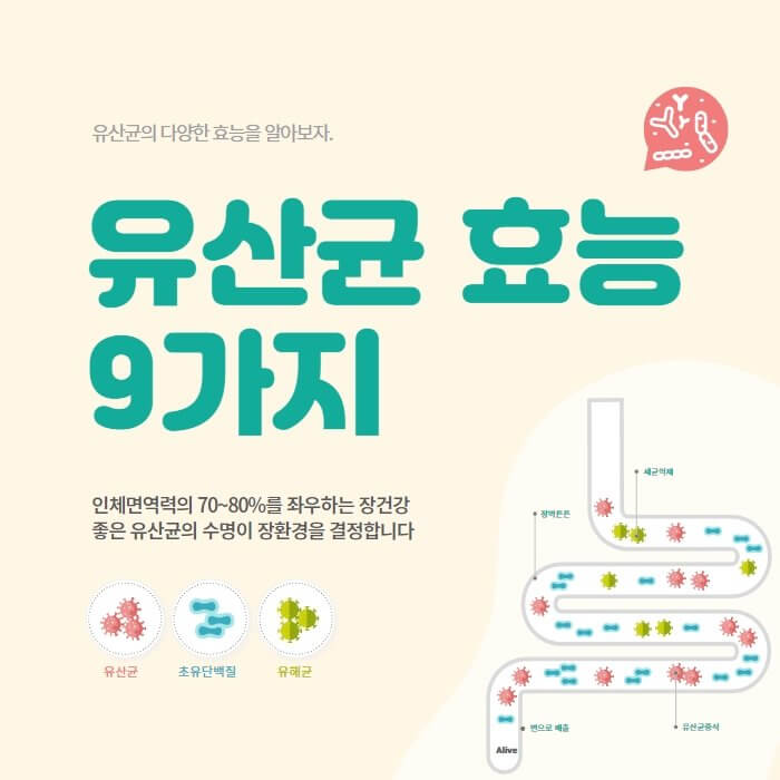  유산균 효능 9가지
