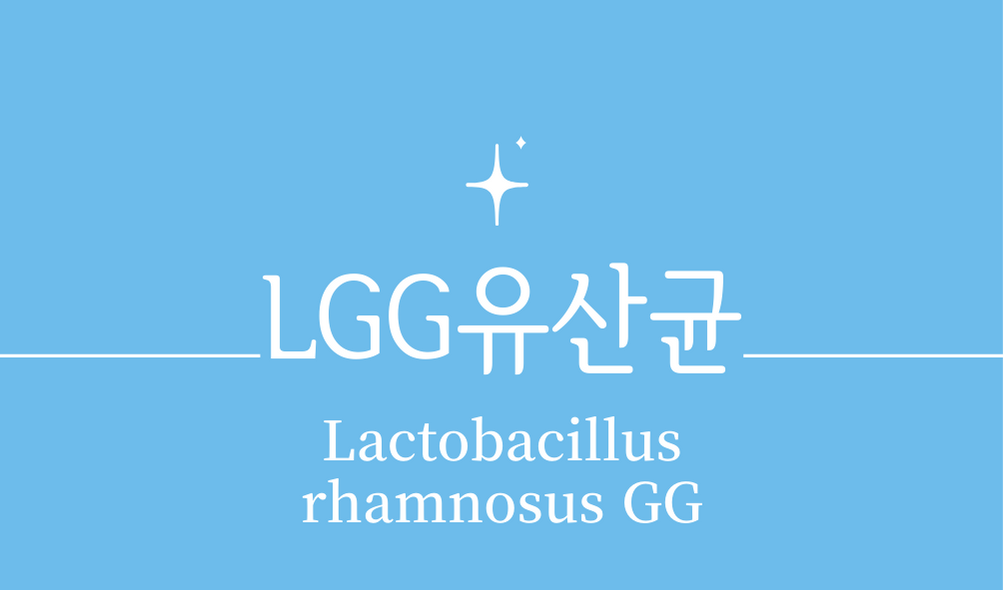 &#39;LGG유산균 락토바실러스 람노서스 GG(Lactobacillus rhamnosus GG)&#39;