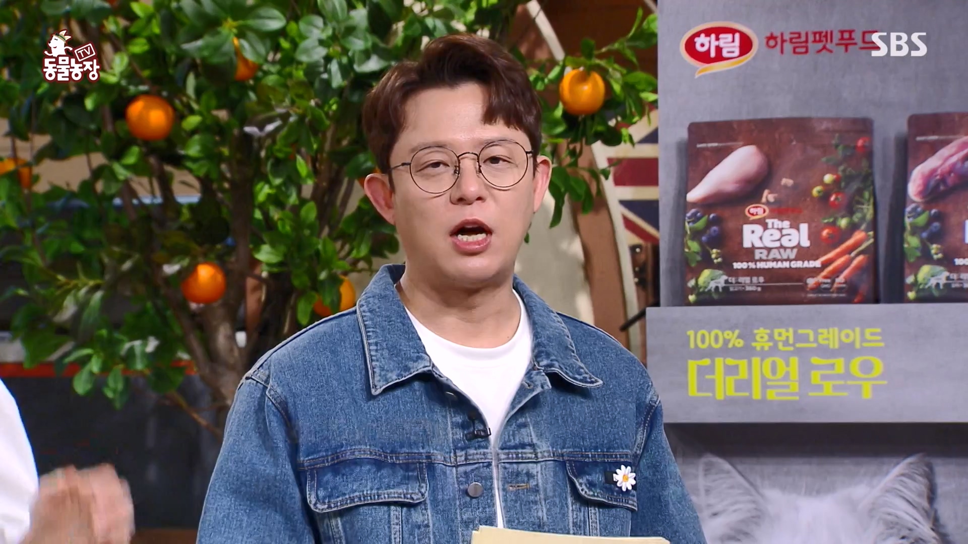 TV 동물농장.E1164.240324p-NEXT.mp4_20240324_172332.049.jpg