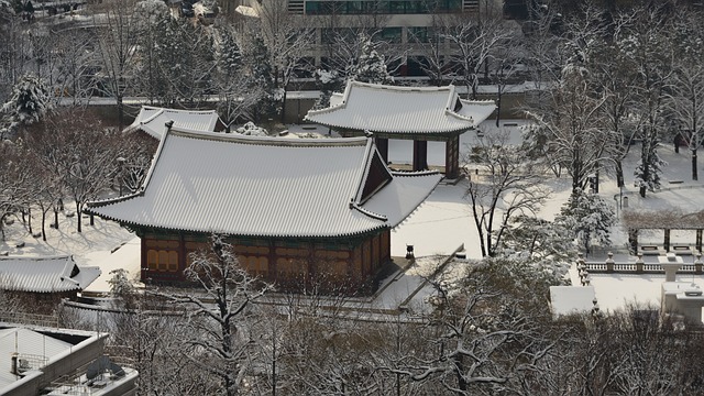 설 연휴
