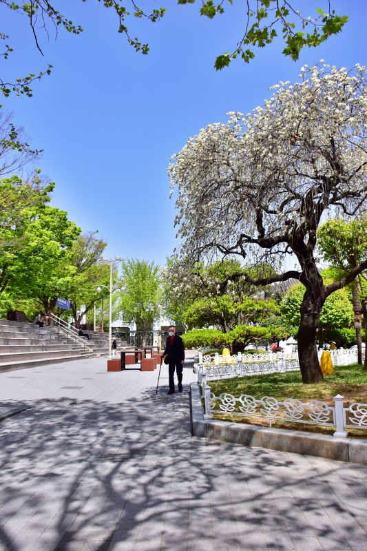 용두산 공원