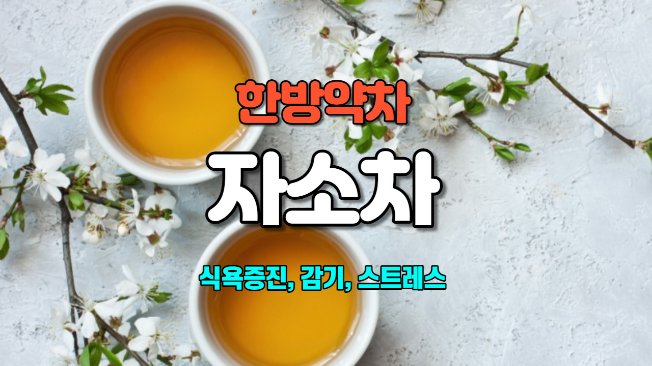  자소차(차조기차)