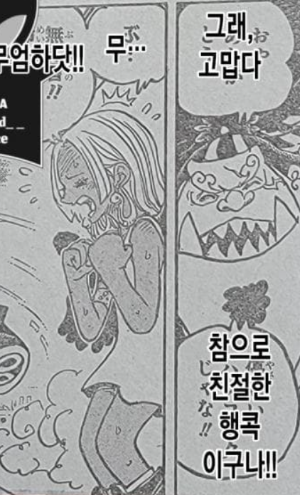  원피스 1070화 번역 그림 최강의 인류 츤데레 핸콕