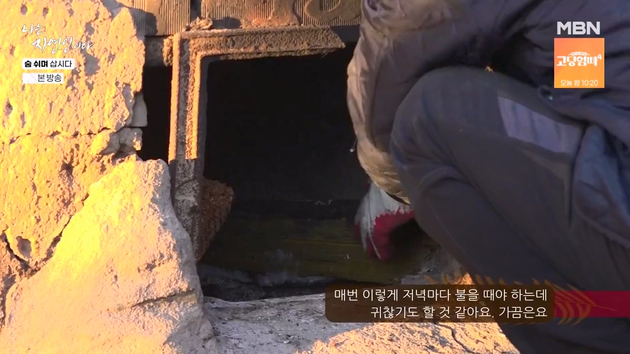 나는 자연인이다.E596.240307p-NEXT.mp4_20240307_195656.676.jpg