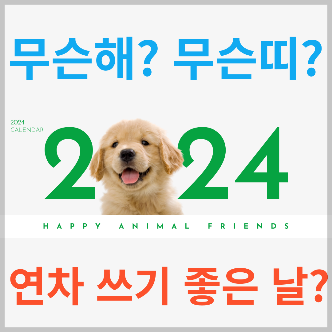 2024년