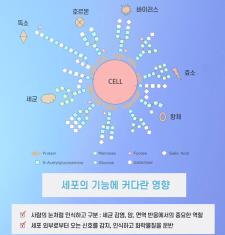 글리코 영양소