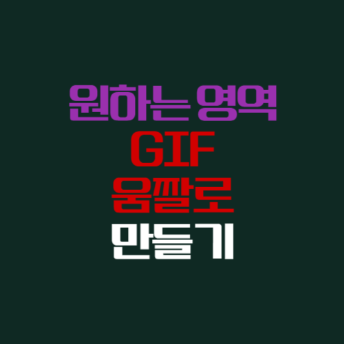 원하는 영역 GIF 움짤로 만들기