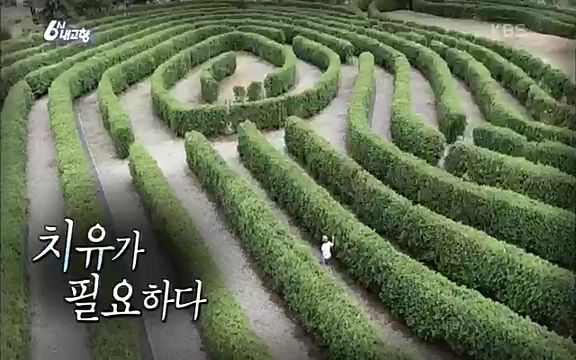 [7613회] 6시 내고향 - KBS7613회] 6시 내고향.ts_20220913_202959.970.jpg