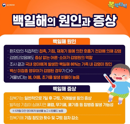 백일해 유행 증상 예방접종시기