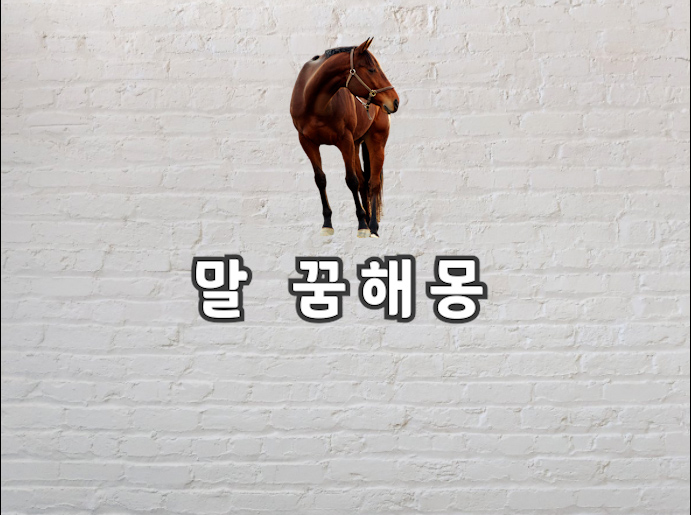  말 꿈해몽 말 꿈을 봤다면 꼭 보고가세유